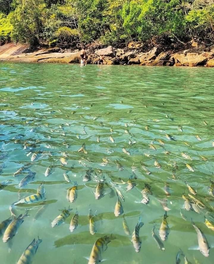 Praia Grande Ubatuba Casa Nova 5D エクステリア 写真
